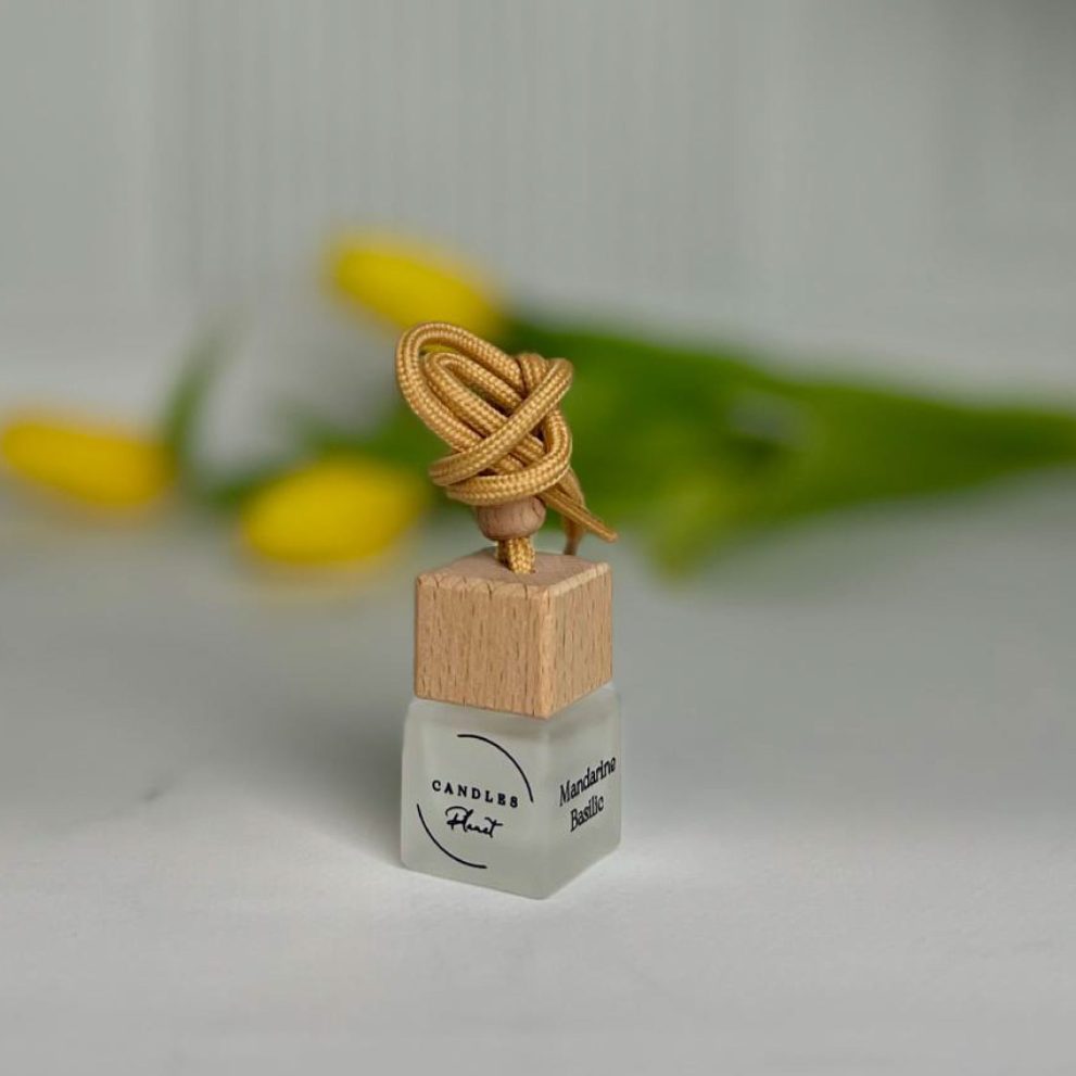 Автодиффузор — фото 3