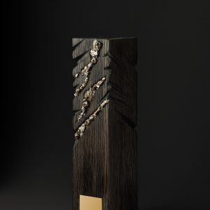 Награда из мореного дуба с пиритом