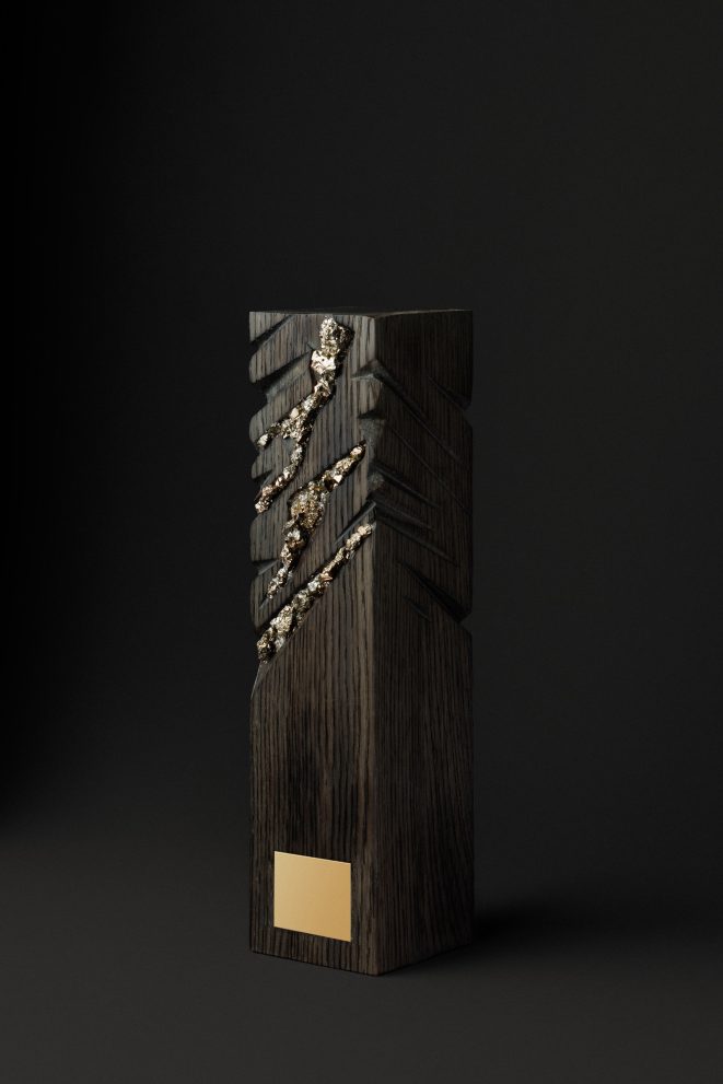 Награда из мореного дуба с пиритом — фото 1