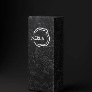 Награда из снежного шунгита