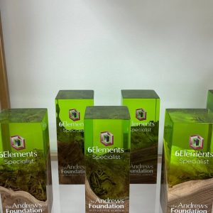 Награда из дерева и эпоксидной смолы "ЭКО СИМВОЛ"